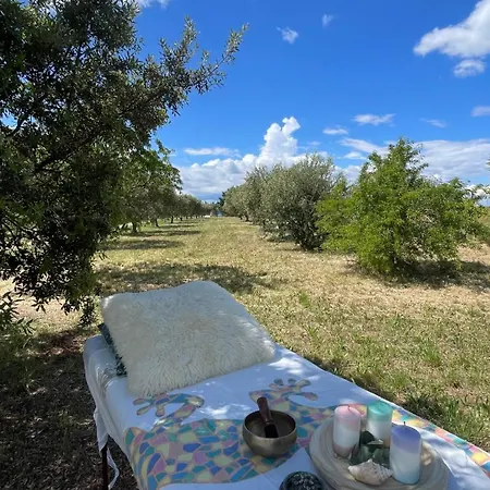 Sitara Luxury tent Valensole